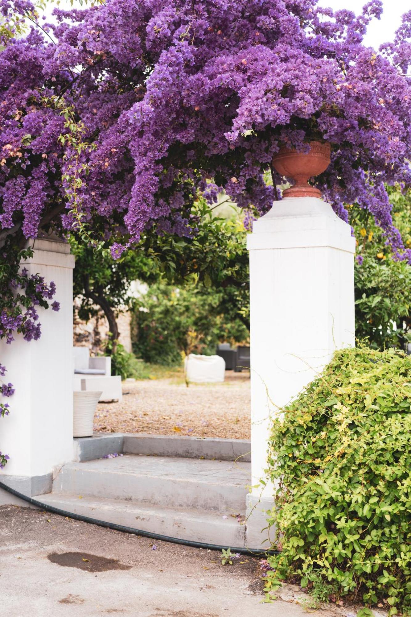 Agriturismo Giorgio Маттіната Екстер'єр фото