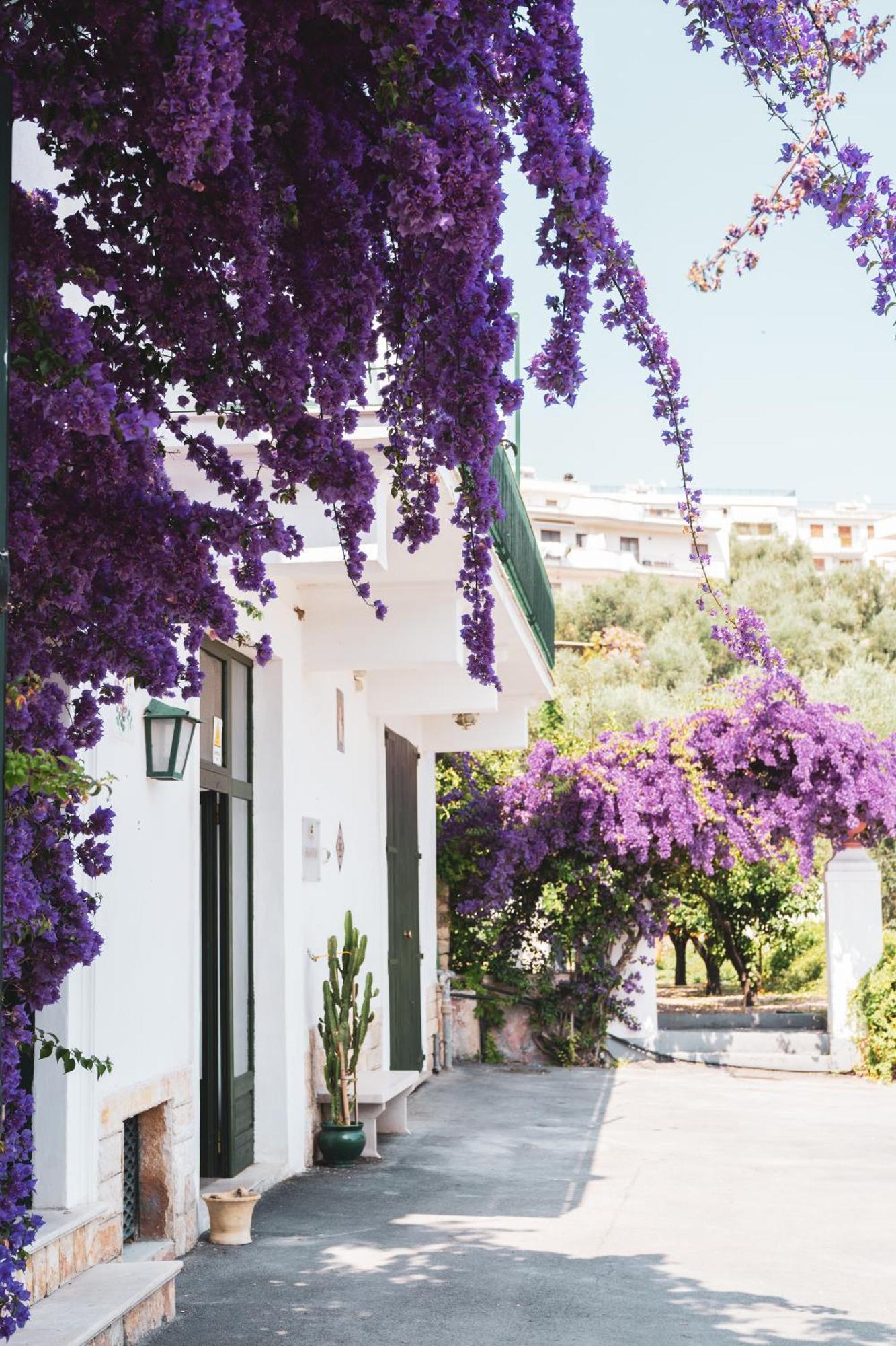 Agriturismo Giorgio Маттіната Екстер'єр фото